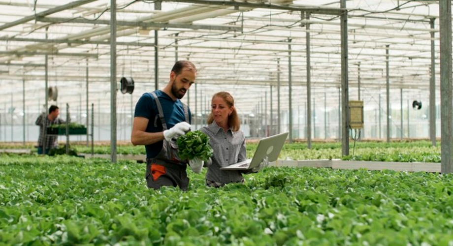 Engenheiro agrônomo orientando agricultores