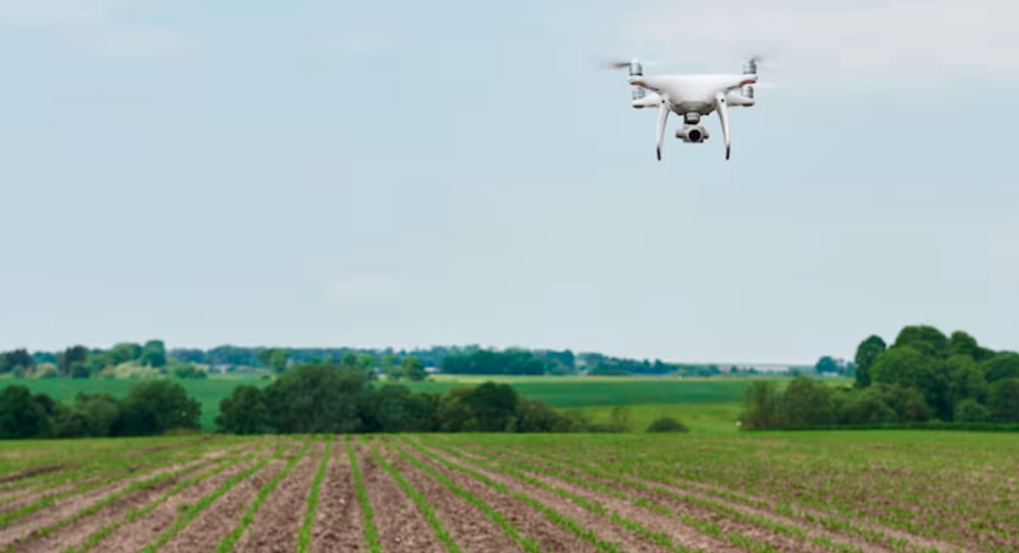 Engenheiro agrônomo utilizando drones para monitorar plantações