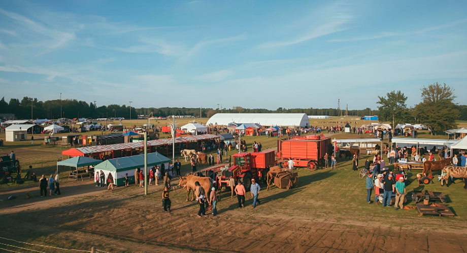 Evento agropecuária, mostrando a celebração do setor