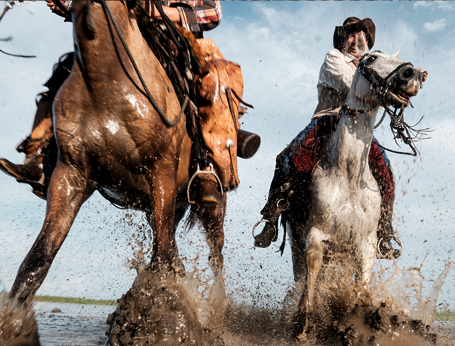 Guia Completo: Como Escolher a Melhor Botina para Montaria