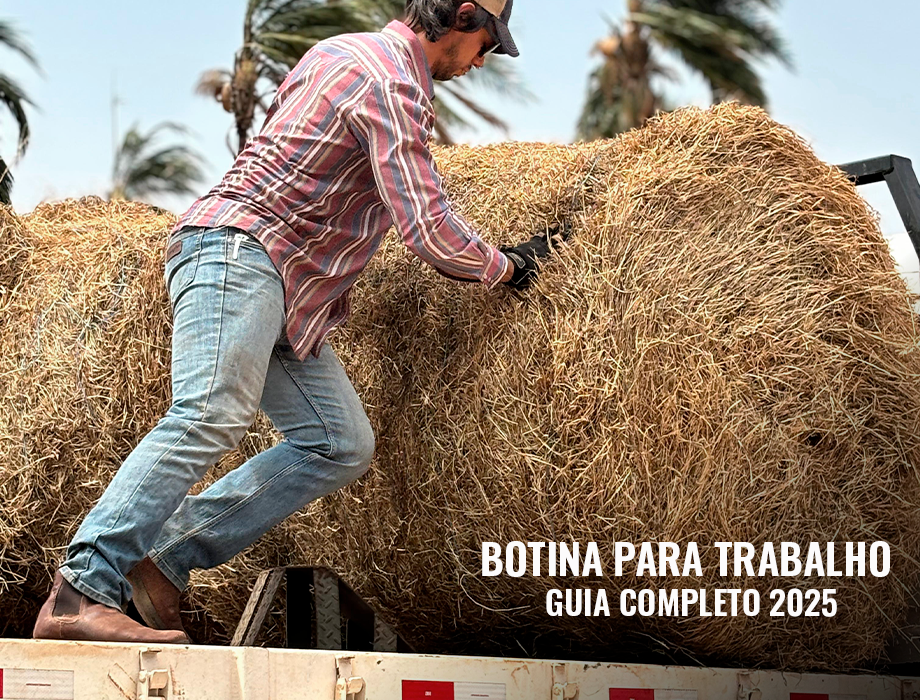 Botina para trabalho: guia completo para escolher a ideal