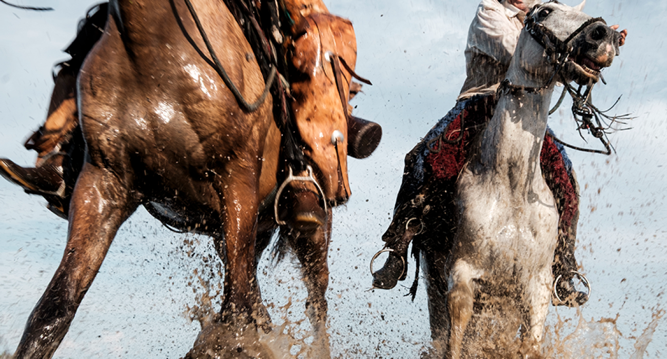 Como escolher a botina para montaria ideal