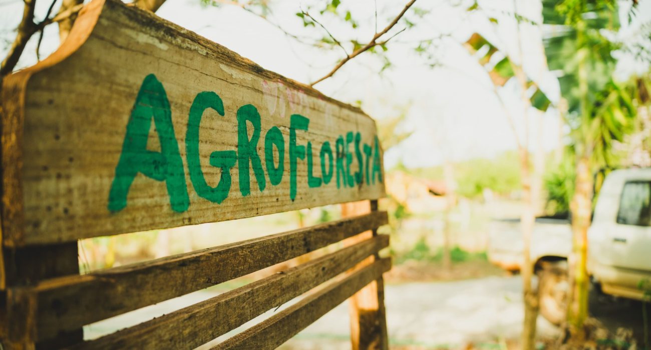 Entrada Sítio Santa Terra