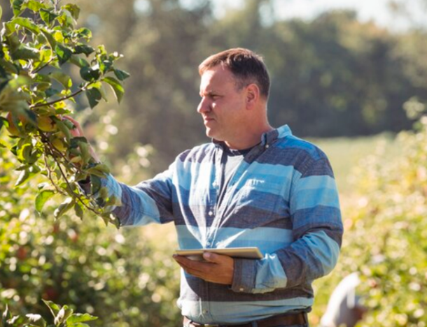 Dia do Engenheiro Agrônomo: A História, a Importância e o Futuro do Agro no Brasil