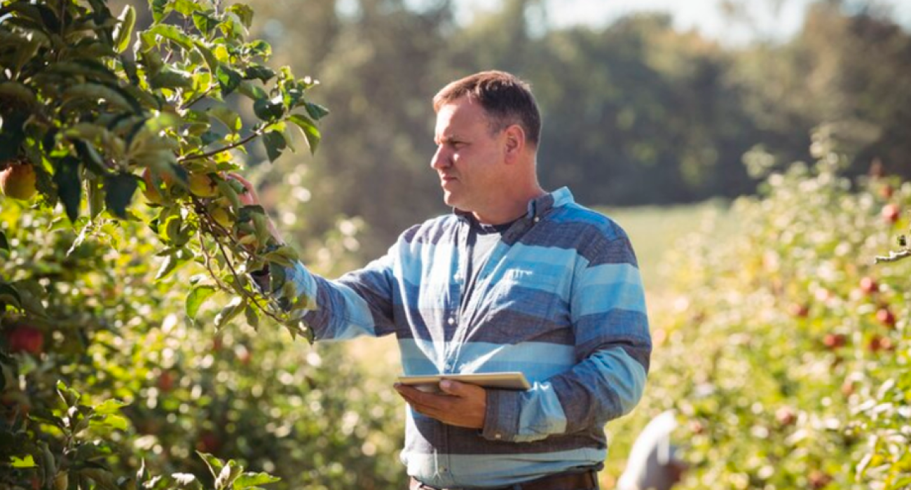Engenheiro agrônomo trabalhando no campo